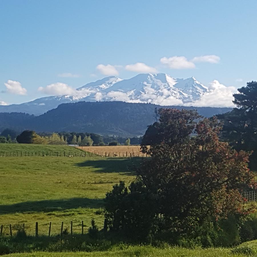 Beech Tree Lodge Ohakune Exteriör bild