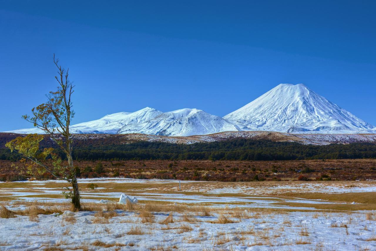 Beech Tree Lodge Ohakune Exteriör bild